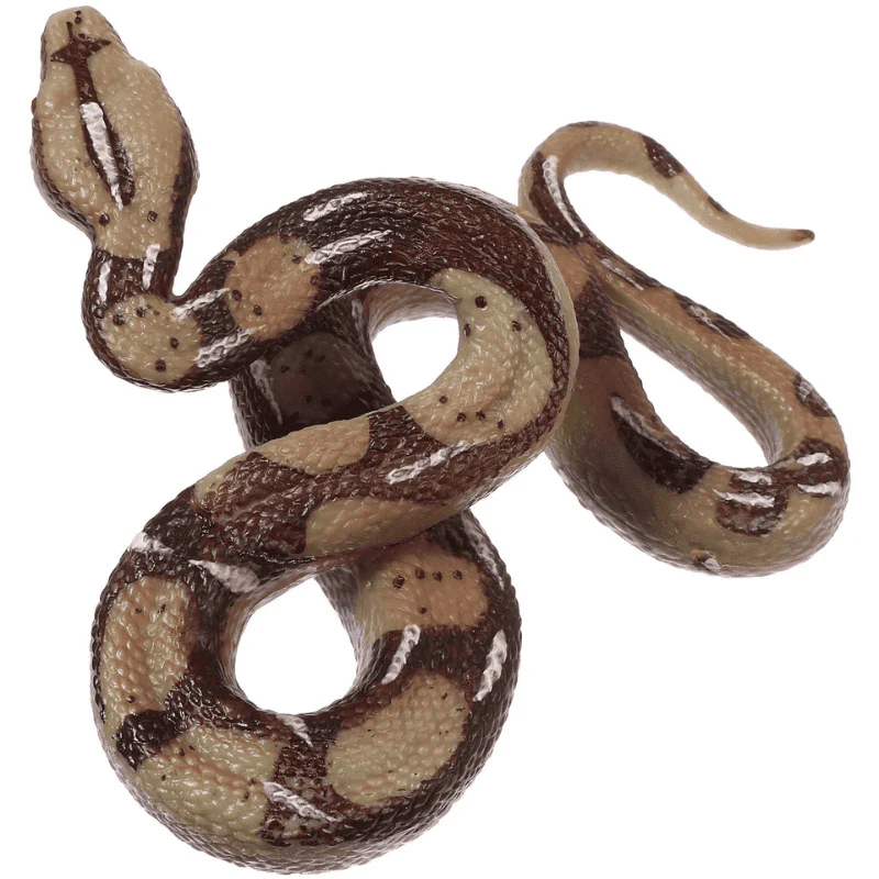 Python en plastique – Image 3